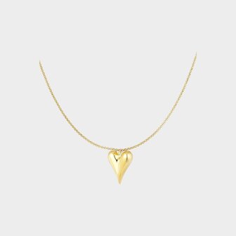 Ketting staal hart goud