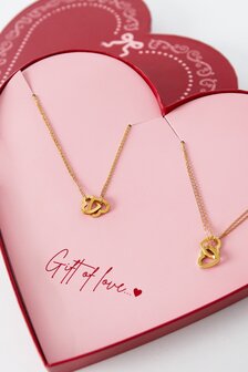 Ketting set staal hart