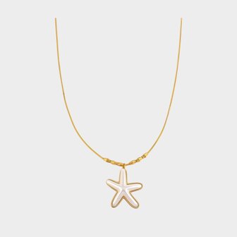 Ketting staal zeester parel