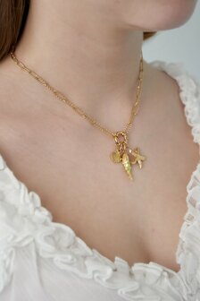 Ketting bedel vis groen