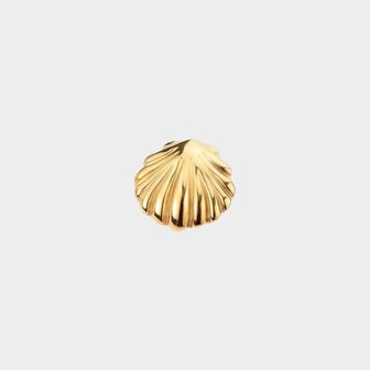 Broche staal schelp