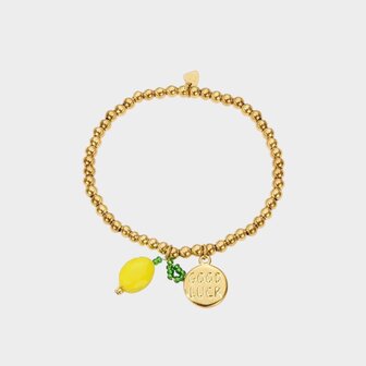 Armband staal citroen