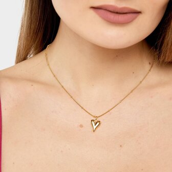 Ketting staal hart