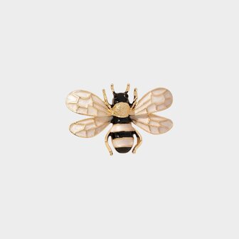 Broche bij beige