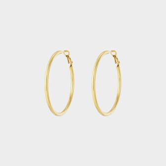 Oorbellen ring goud staal