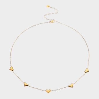 Ketting hartjes staal