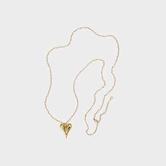 Ketting hart staal goud