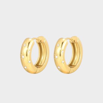 Oorbellen creool zirconia goud