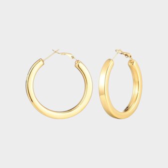 Oorbellen staal ring goud