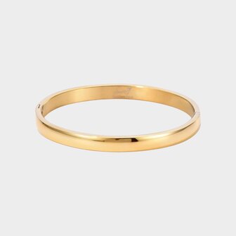 Armband bangle goud staal