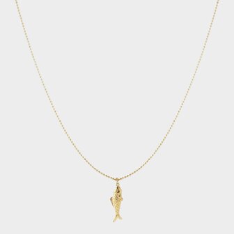 Ketting staal vis