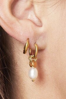 Oorbellen parel munt zilver