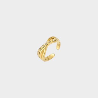 Ring staal crystal