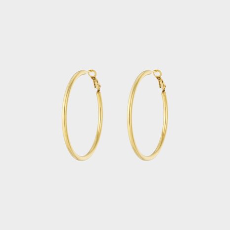 Oorbellen ring goud staal