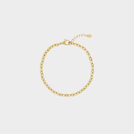 Armband staal schakel