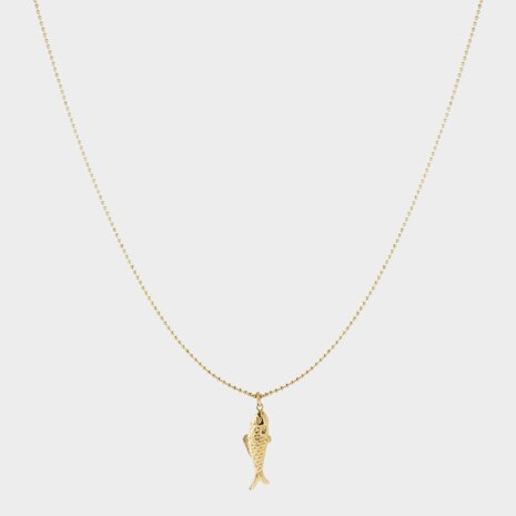 Ketting staal vis
