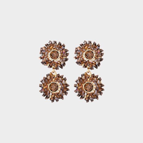 Oorbellen duo rond bruin