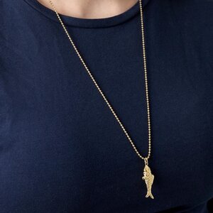 Ketting staal vis