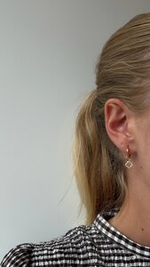 Oorbellen creool crystal klaver