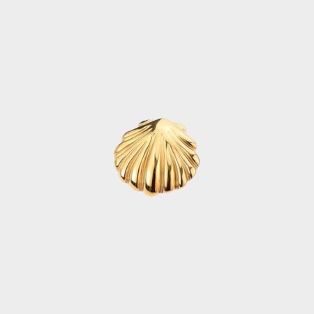 Broche staal schelp