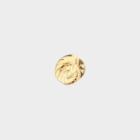 Broche staal schelpje