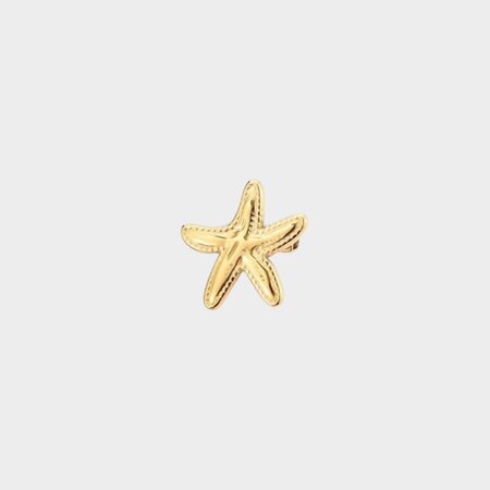 Broche staal zeester