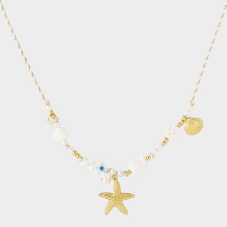 Ketting staal wit zeester