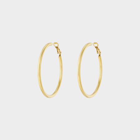 Oorbellen ring goud staal