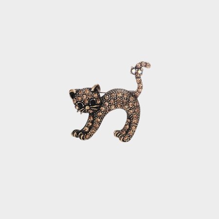 Broche poes bruin