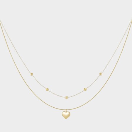 Ketting dubbel staal hart