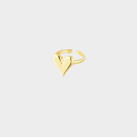 Ring hart staal