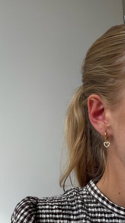Oorbellen creool crystal hart