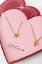 Ketting set staal hart