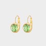 Oorbellen crystal haak groen